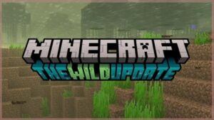 Minecraft 1.19.10