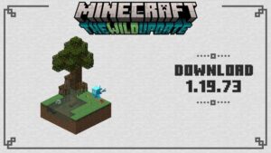 Minecraft 1.19.73