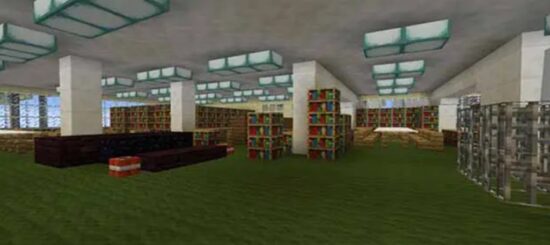 Minecraft Library Ideas 1