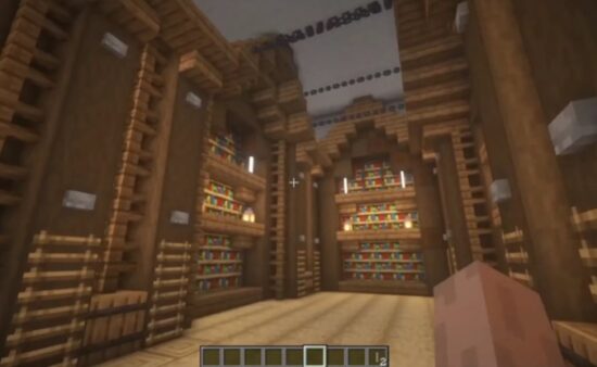 Minecraft Library Ideas 6