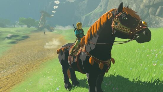 Legend Of Zelda Tears Of The Kingdom Horses 1