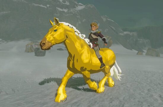 Legend Of Zelda Tears Of The Kingdom Horses 3