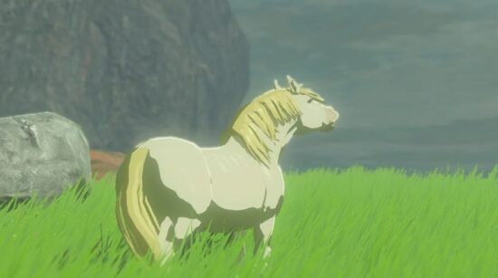 Legend Of Zelda Tears Of The Kingdom Horses 5